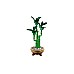 Lego Botanicals Lucky Bamboo (10344) Lego Botanicals Lucky Bamboo (10344)