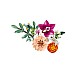 Lego Botanicals Pretty Pink Flower Bouquet (10342) Lego Botanicals Pretty Pink Flower Bouquet (10342)