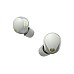 Sony Wf-1000xm5 True Wireless Earbuds Silver