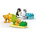 Lego Duplo Wild Animal Families Penguins & Lions (10442)