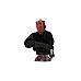 Star Wars Buste Darth Maul 15cm Star Wars Buste Darth Maul 15cm