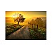 Ravensburger Landscape In Morning Sun 1000 Pcs (12001445)