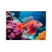 Ravensburger Red Lionfish 500pcs (12001334)