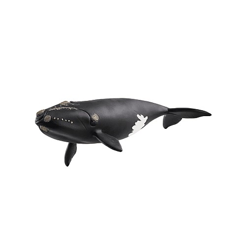 Schleich North Atlantic Right Whale 14878