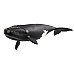 Schleich North Atlantic Right Whale 14878 Schleich North Atlantic Right Whale 14878