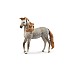 Schleich Andalusian Stallion 14895