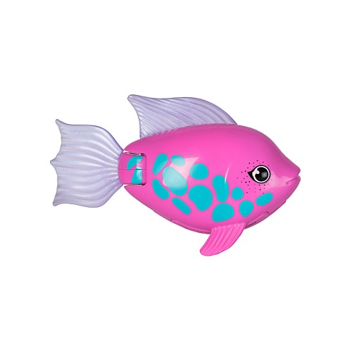 Swims Rainbow Reef Fish Rainbow Fish (6072523)