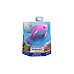 Swims Rainbow Reef Fish Rainbow Fish (6072523)