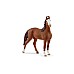 Schleich Marwari Mare (14897)