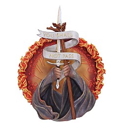 Lord Of The Rings You Shall Not Pass Wall Plaque