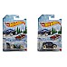 Hot Wheels Winter Series Collection Random (w3099)