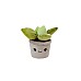 Take Me Home Green Plush Plant Random (154930)