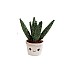 Take Me Home Green Plush Plant Random (154930)