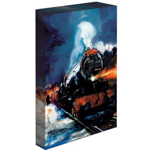 Light Up Canvas Harry Potter (hogwarts Express) 30x40