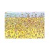 University Games Where's Wally Beach 250pc (710-5935) University Games Where's Wally Beach 250pc (710-5935)