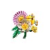 Lego Botanicals Petite Sunny Bouquet (10347) Lego Botanicals Petite Sunny Bouquet (10347)