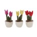 Take Me Home Plant Plush Tulip Random (154934)