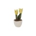 Take Me Home Plant Plush Tulip Random (154934)