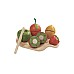 Plantoys Playfood Assorted Fruit Set (3600)