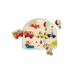 B Toys B Puzzle Transport (701854) B Toys B Puzzle Transport (701854)