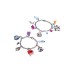 Totum Frozen Bracelet With Charms (tt680654)