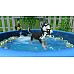 Little Friends Puppy Island (code In A Box)