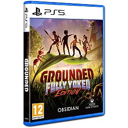 Grounded Fully Yorked Edition