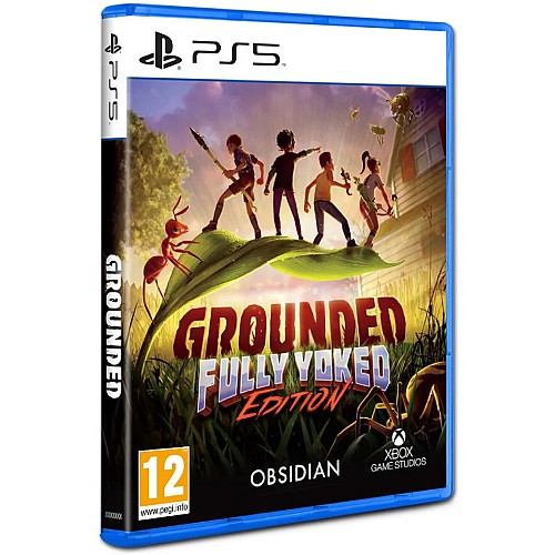 Grounded Fully Yorked Edition