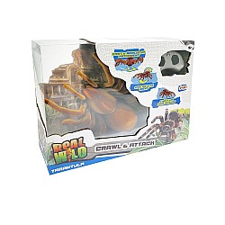 Real Wild Giant Tarantula Spider (20316)