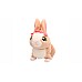 Club Petz Betsy Brown Bunny (281-927216)