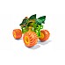 Monster Jam 1:24 Collector Dragon Monster Jam 1:24 Collector Dragon