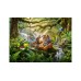 Ravensburger Puzzle Wildlife Wonders 300p (12004055)