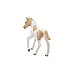 Schleich Paint Horse Foal (13886) Schleich Paint Horse Foal (13886)