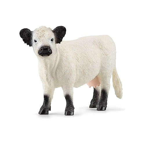 Schleich Galloway Cow (13960)