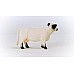 Schleich Galloway Cow (13960) Schleich Galloway Cow (13960)