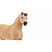 Schleich Norwegian Fjord Horse Gelding (13979)