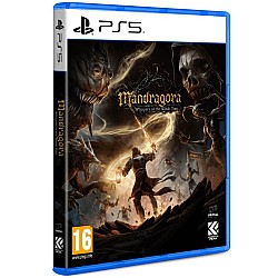 Mandragora Whispers Of The Witch Tree