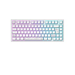 Dark Project Nostra Keyboard White 81 Rgb