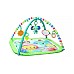 Bright Starts Wild Wiggles Foldaway Activity Gym (bs-16814)
