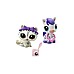 Littlest Pet Shop Pet Pair S4 Random (705)