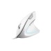 Trust Verto Ergo Mouse White