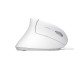 Trust Verto Ergo Mouse White