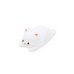 Sleepy Cat Night Light Compact Sleepy Cat Night Light Compact