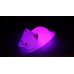 Sleepy Cat Night Light Compact Sleepy Cat Night Light Compact